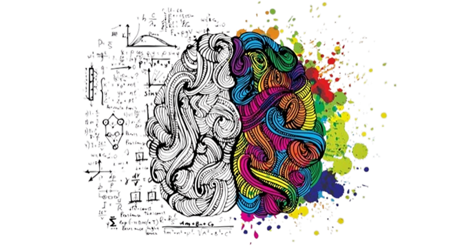 Unlocking the Potential of Neurodiverse Employees through Inclusive Learning Environments